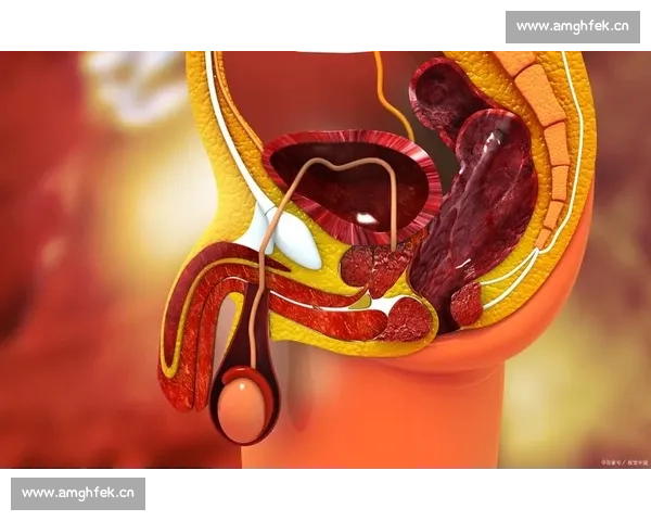 男科疾病的早期预防与治疗策略探讨及男性健康管理新趋势